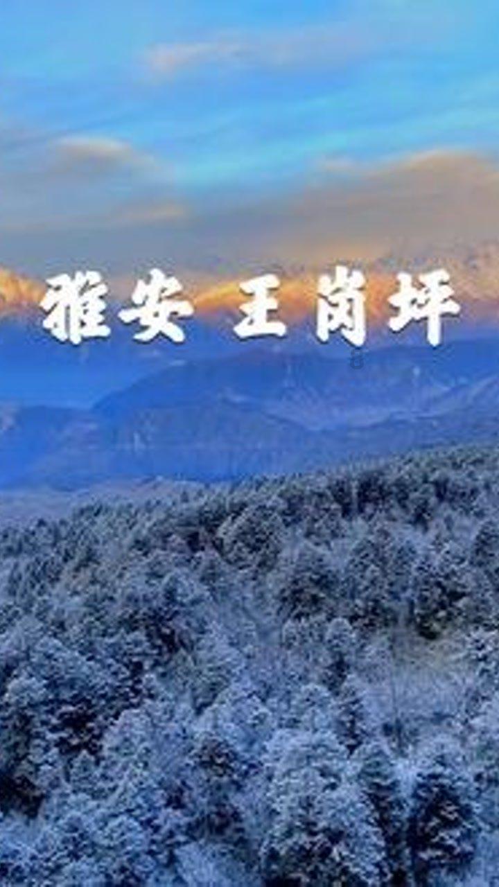 重阳投资舒泰峰:“先胜后战法”的10个环节