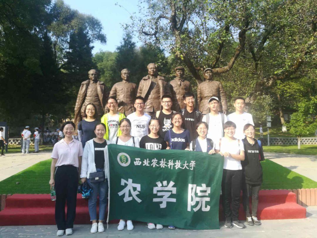 旗帜的传说2